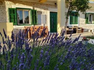 a field of purple flowers in front of a house at Šimun&Jakov in Drinovci