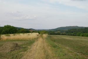 Príroda v okolí privátu