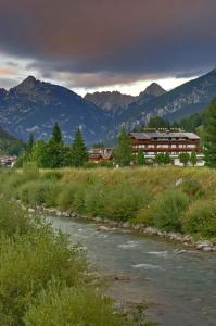 Gallery image of Monaco Sport Hotel in Santo Stefano di Cadore