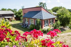 a small house with red flowers in front of it at Villa Lea Lee in Strehlow