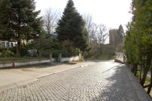 a cobblestone street with a tree on the side at Casa Do Castelo in Guimarães