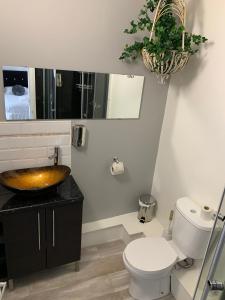 a bathroom with a sink and a toilet at Boars Head Boutique Hotel in Sunderland