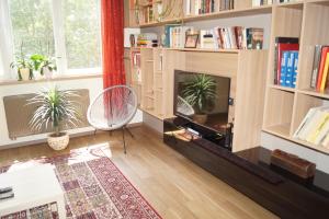 a living room with a fireplace and book shelves at Mamini's Apartment in Budapest