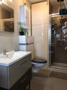 a bathroom with a sink and a toilet and a shower at Dieppe centre historique proche château et plage in Dieppe