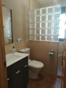 y baño con aseo, lavabo y espejo. en CASA RURAL ALAJÚ, en Villalba de la Sierra