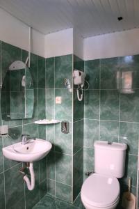 Baño de azulejos verdes con aseo y lavamanos en Saba en Shekhvetili