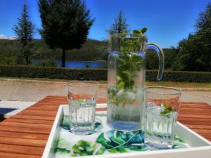 un vase sur un plateau avec deux verres sur une table dans l'établissement Casa d´Água, à Venda Nova