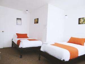 two beds sitting next to each other in a room at Bird Garden Guest House in Quito