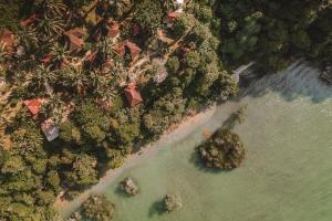 an overhead view of a beach with trees and water at Railay Garden View Resort in Railay Beach