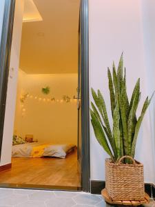 een plant in een mand in een kamer bij Cozy Private Home @ HCM D.5 in Ho Chi Minh-stad