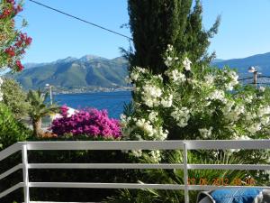 een wit hek met bloemen en uitzicht op het water bij Apartments Sino More in Tivat