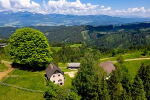 an aerial view of a house on a hill with trees at Roatmoaralm Almhütte in Rachau +12 photos