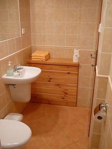 捷克布杰约维采Apartmány Hlava的带马桶和水槽的小浴室