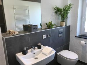 ein Badezimmer mit einem Waschbecken, einem WC und einem Spiegel in der Unterkunft VILLA RELAX in Gerolstein