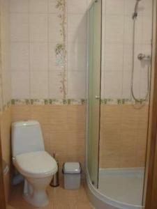 La salle de bains est pourvue d'une douche et de toilettes. dans l'établissement Гостиничные номера и сауна, à Soumy