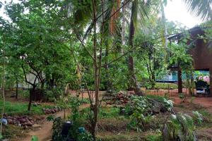 Giardino di Sun and Green Eco Lodge - Dambulla