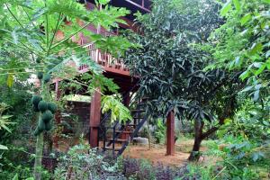 Giardino di Sun and Green Eco Lodge - Dambulla