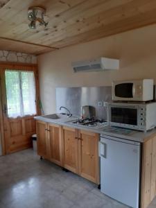 a kitchen with a stove and a microwave at Le Chardon Bleu in Châtel