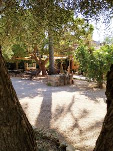 A garden outside Petit Hotel Es Figueral