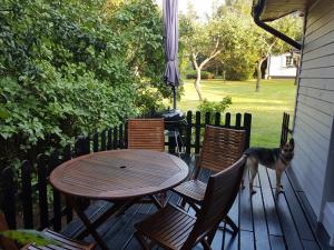 Ogród w obiekcie Agroturystyka Camping