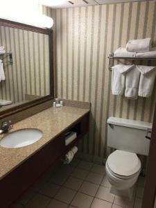 uma casa de banho com um lavatório, um WC e um espelho. em Wingate by Wyndham Kansas City em Kansas City