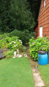 a garden with a blue barrel in the grass at Ferienwohnung Im Waldwinkel in Stadthagen