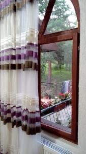 a window with a view of a balcony with flowers at Pandora in Mavrovo