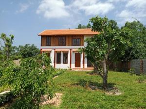 una casa con un árbol delante de ella en CocoPalm Villa near Beach - Coco Room, en Hội Mỹ