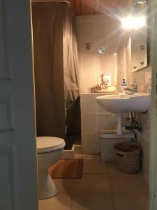 een badkamer met een toilet en een wastafel bij Gîte Aghja suttana l'incantu in Santa-Lucia-di-Mercurio