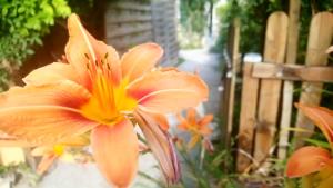 Billede fra billedgalleriet på Gîtelabaronnaise avec piscine chauffée prés parc Asterix i Baron + 49 billeder