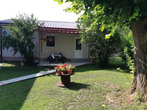 une maison avec une table et des fleurs dans la cour dans l'établissement Apartments Pinikot, à Dojran