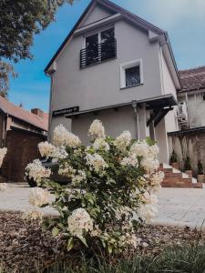 Ogród w obiekcie Apartamenty Centrum Park Sowińskiego 19