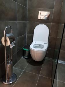 La salle de bains est pourvue de toilettes. dans l'établissement Apartment Dimeski, à Ohrid