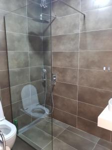 La salle de bains est pourvue d'une douche en verre et de toilettes. dans l'établissement Apartment Dimeski, à Ohrid