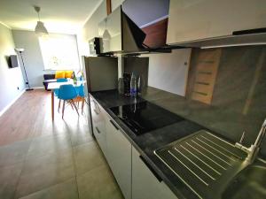 Kuchyňa alebo kuchynka v ubytovaní Apartment Cyprys 1