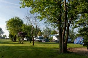 een groep tenten in een veld met bomen bij Ingerichte De Waard tent - 5 personen in Beilen