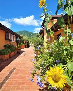 Una pasarela de ladrillo con flores y una casa en "La Terrazza di Castiglione" APPARTAMENTI VACANZA, en Castiglione della Pescaia