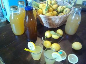 una mesa con botellas de limonada y una cesta de fruta en Fattoria Riomoro, en Colonnella