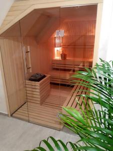 a room with a sauna with a glass wall at Tenea Apartment & SPA in Zlatibor