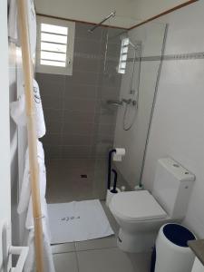 a bathroom with a shower and a toilet at Les Jardins des Alizés in Saint-François