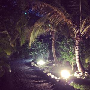 Ein Garten an der Unterkunft Ti coin paradis