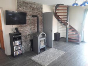 TV a/nebo společenská místnost v ubytování Homoki Wellness Üdülőház