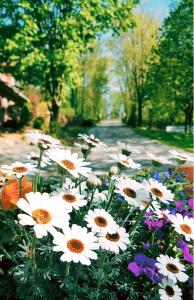 KarolinenkoogにあるLandhaus Pfahlershofのギャラリーの写真 +47枚の写真