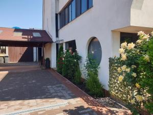 a house with a brick walkway next to a building at La Cristina in Slatina