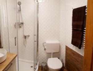a bathroom with a shower and a toilet and a sink at Central Platinum Apartman Harkány in Harkány