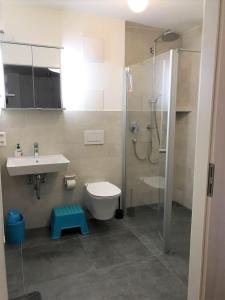une salle de bain avec une douche, des toilettes et un lavabo dans l'établissement Apartment Seerhein, à Constance