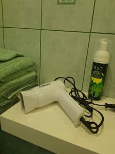 a hair dryer sitting on a counter in a bathroom at Aukštaičių apartamentai in Rokiškis