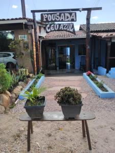 two potted plants sitting on a bench in front of a building at Pousada Céu Azul in Sao Jorge