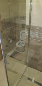 La salle de bains est pourvue de toilettes par une porte en verre. dans l'établissement Planinski RaJ - Mountain PaRaDiSe, à Trnovo