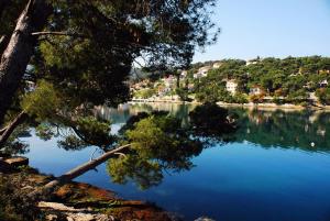 Príroda v okolí apartmánu
